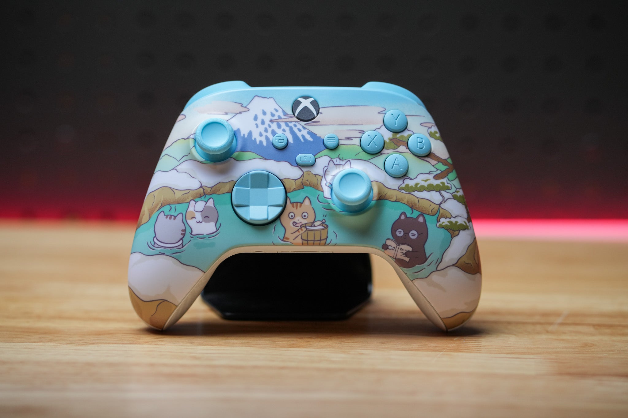 24 Hour Meowtain Retreat Cinch Xbox Pro