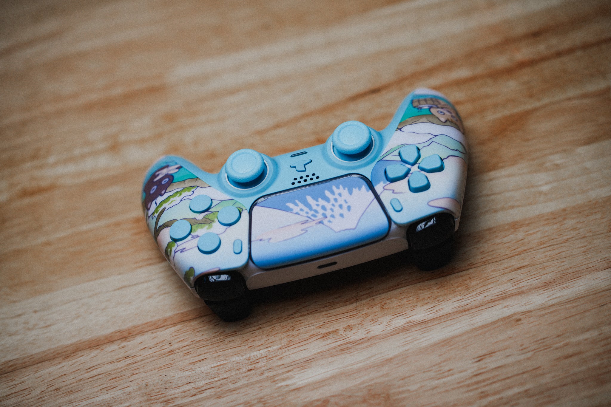 24 Hour Meowtain Retreat Pro Cinch PS5